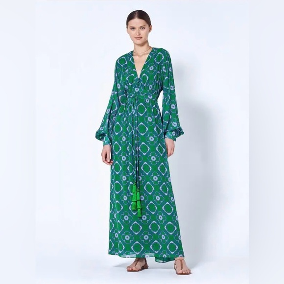Alexis Dresses & Skirts - Alexis Skarla Green Patterned Maxi Dress